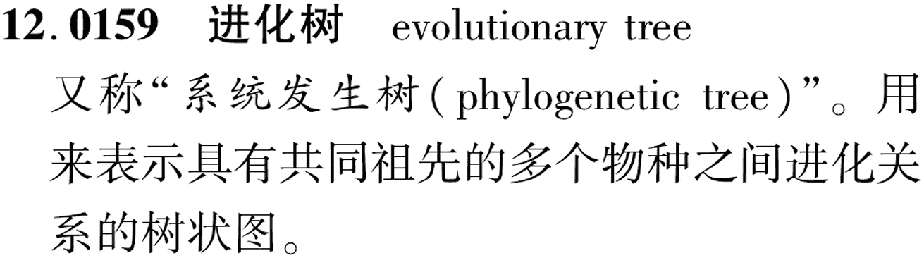 图片缺失