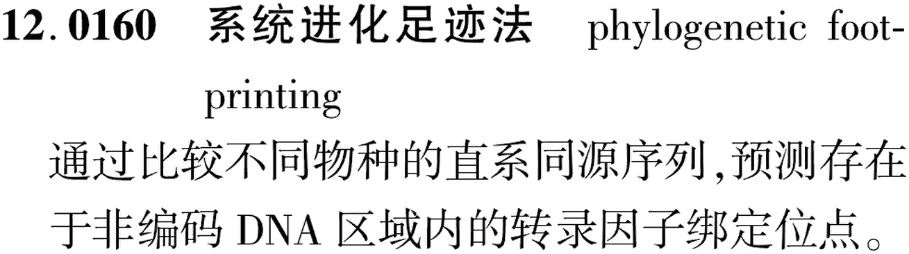 图片缺失