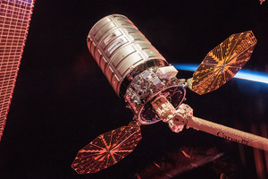 Cygnus