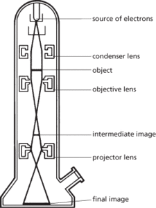electron microscope