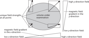 nuclear magnetic resonance imaging