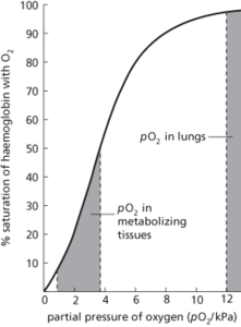 oxygen dissociation curve