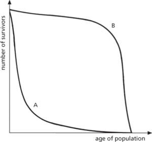 survivorship curve