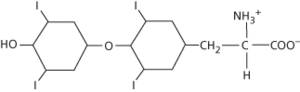 thyroxine
