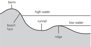 ridge and runnel