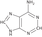adenine