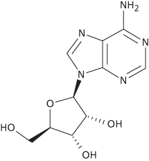adenosine