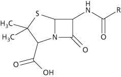 penicillin