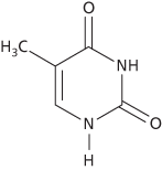 thymine