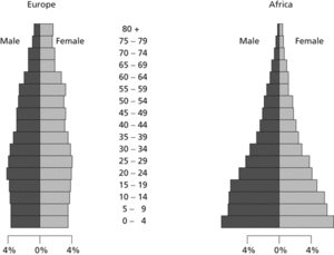population pyramid