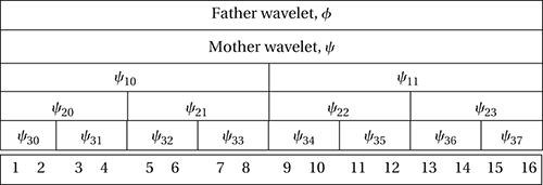wavelet