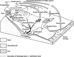 hydrological cycle