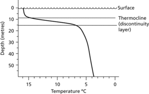 thermocline