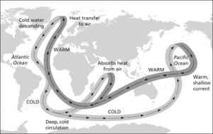 thermohaline circulation