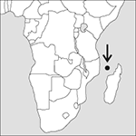 Comoros, Federal Islamic Republic of the